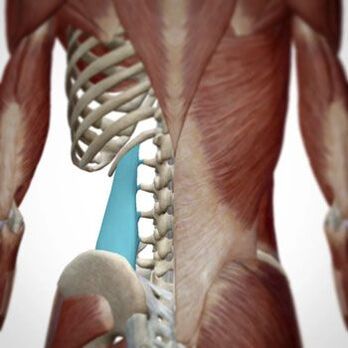 El dolor puede aparecer en varias áreas de la espalda. 