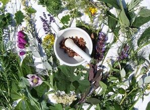 Hierbas para el tratamiento de la osteocondrosis.